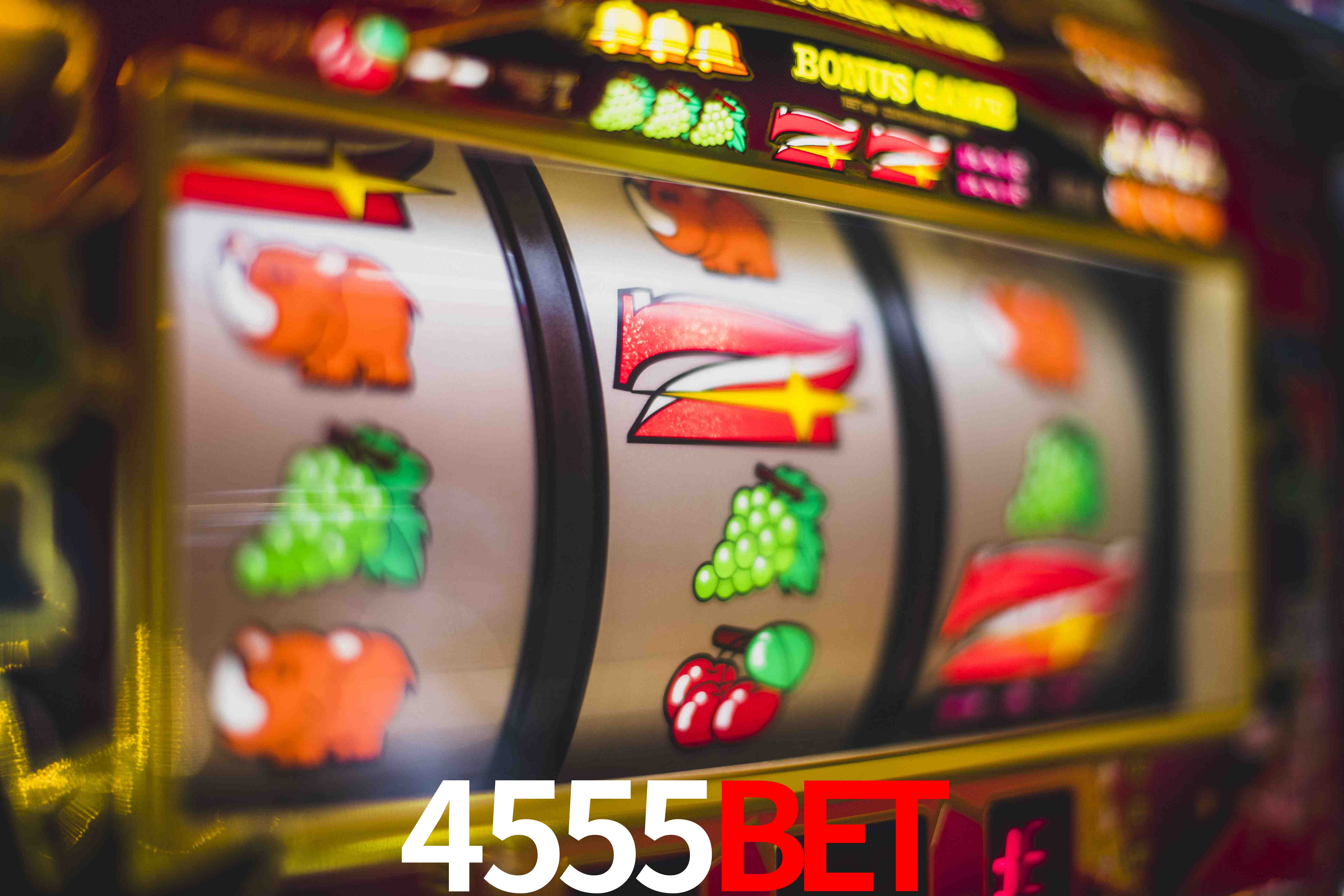 Football Betting 4555bet